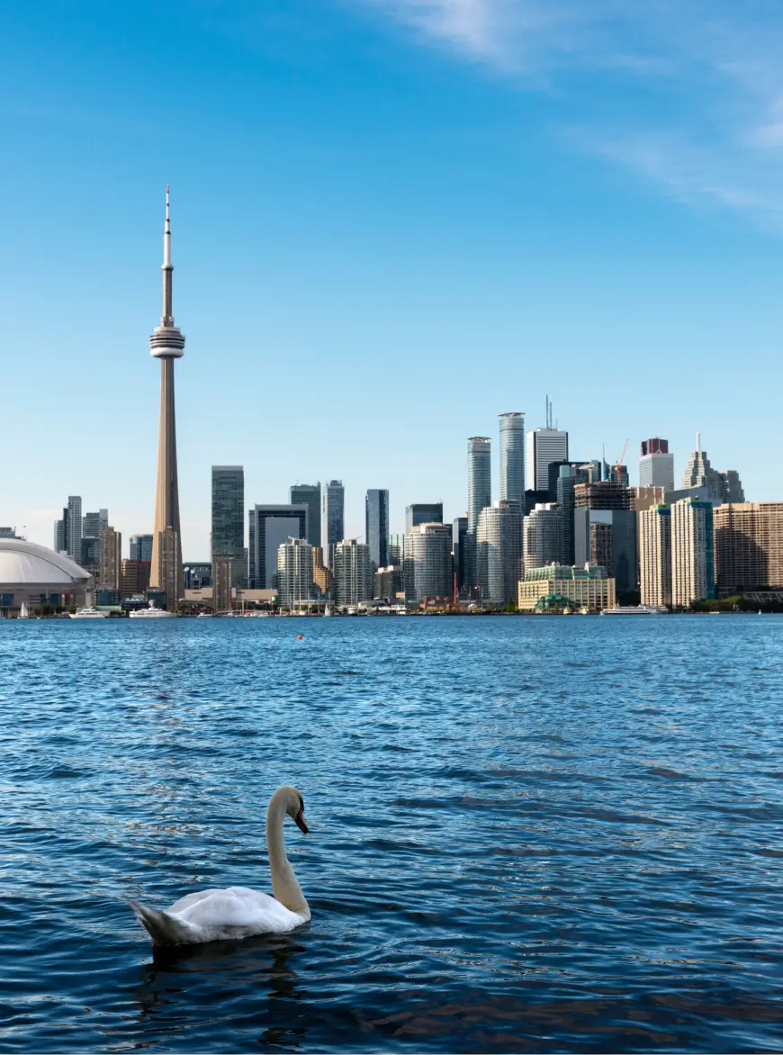 Downsizing & Estate Services In Local Service Areas - Gordon's Downsizing & Estate Services