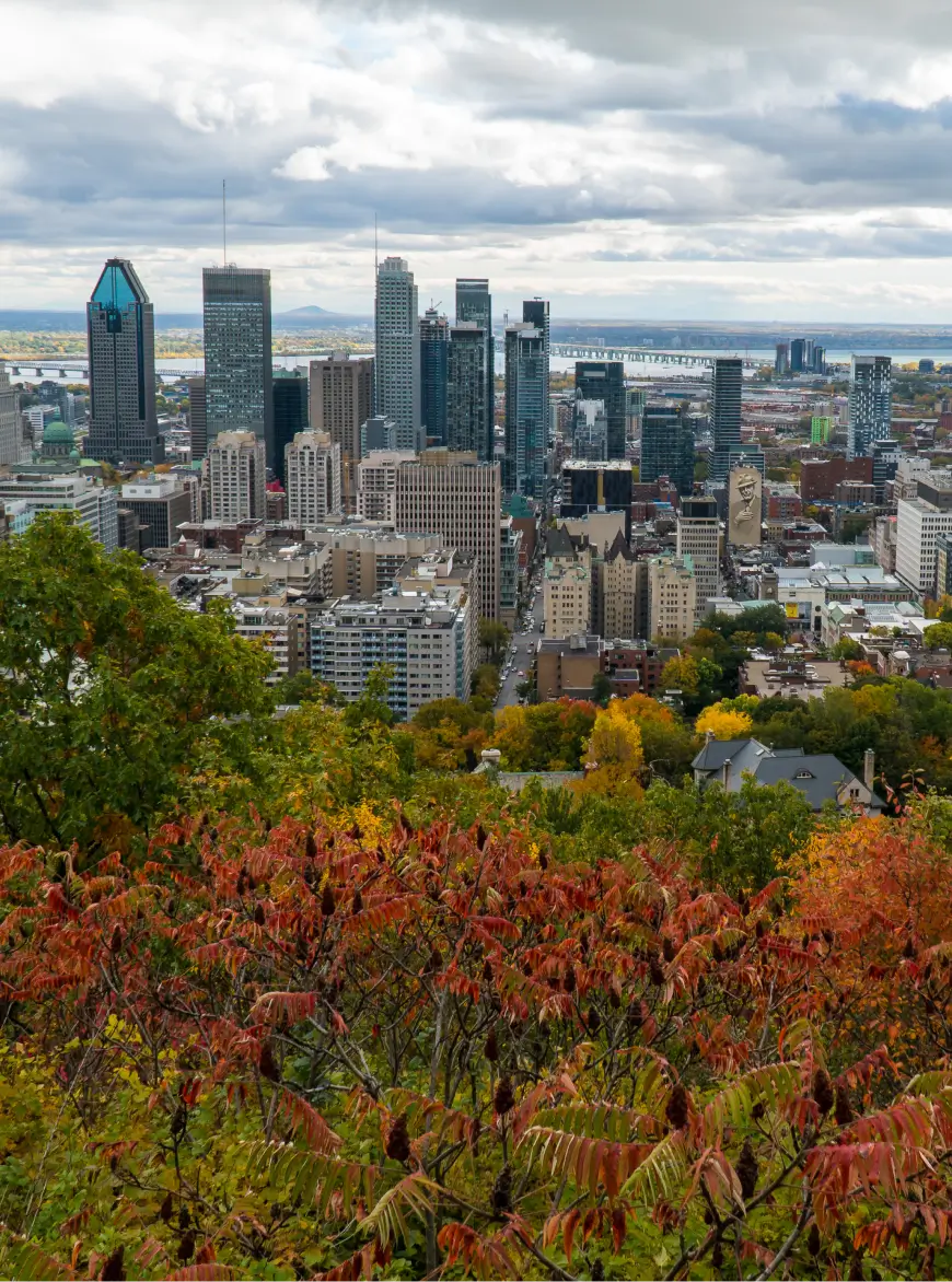 Downsizing & Estate Services Across Key Regions - Gordon's Downsizing & Estate Services