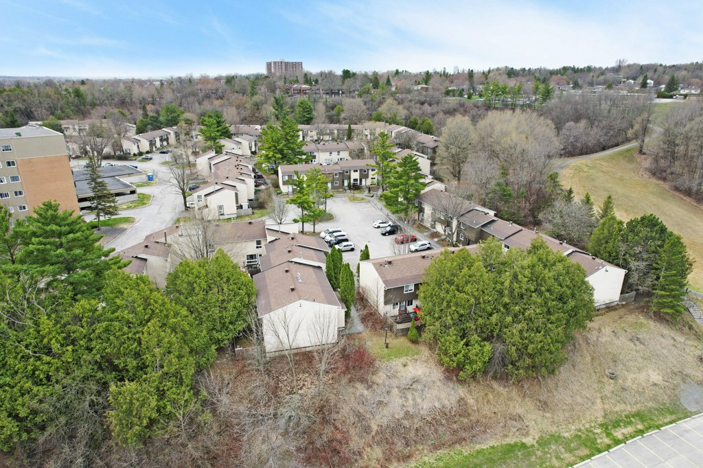 1562Lassiter(36)