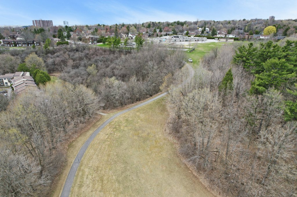 1562Lassiter(41)