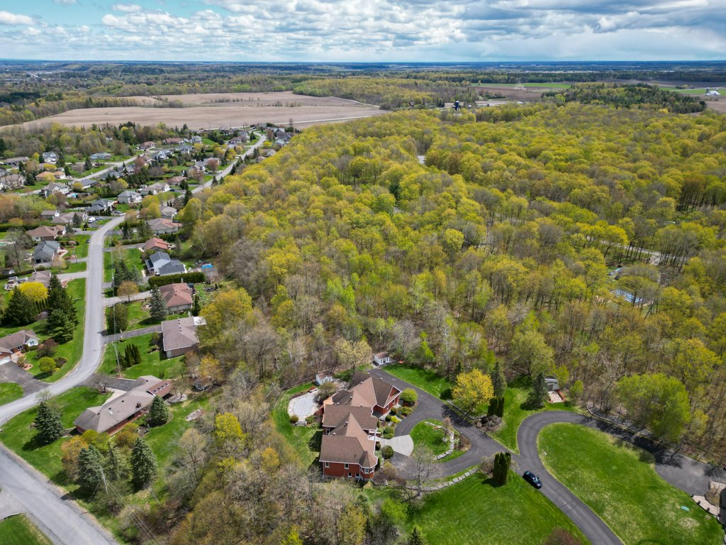 2369Lookout(76)