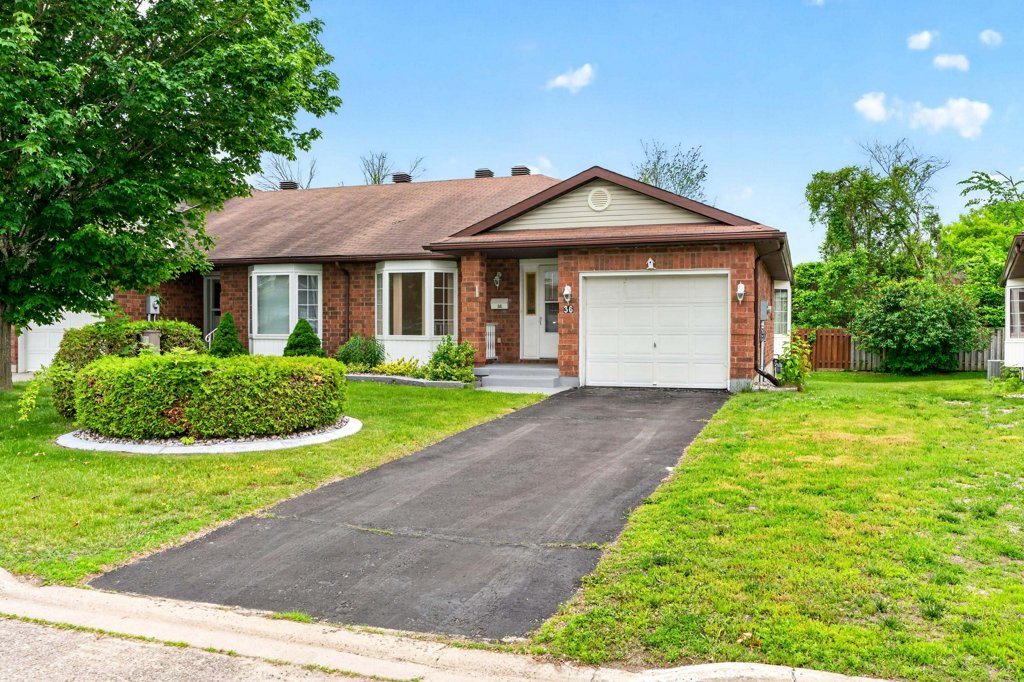 36Wilmot (6)