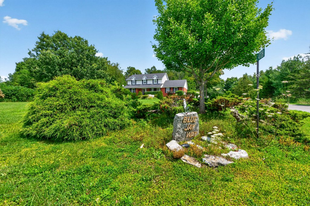 4708WolfSwamp (10)