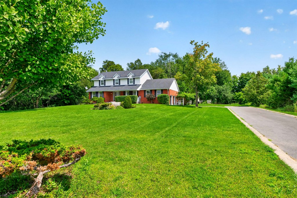 4708WolfSwamp (11)