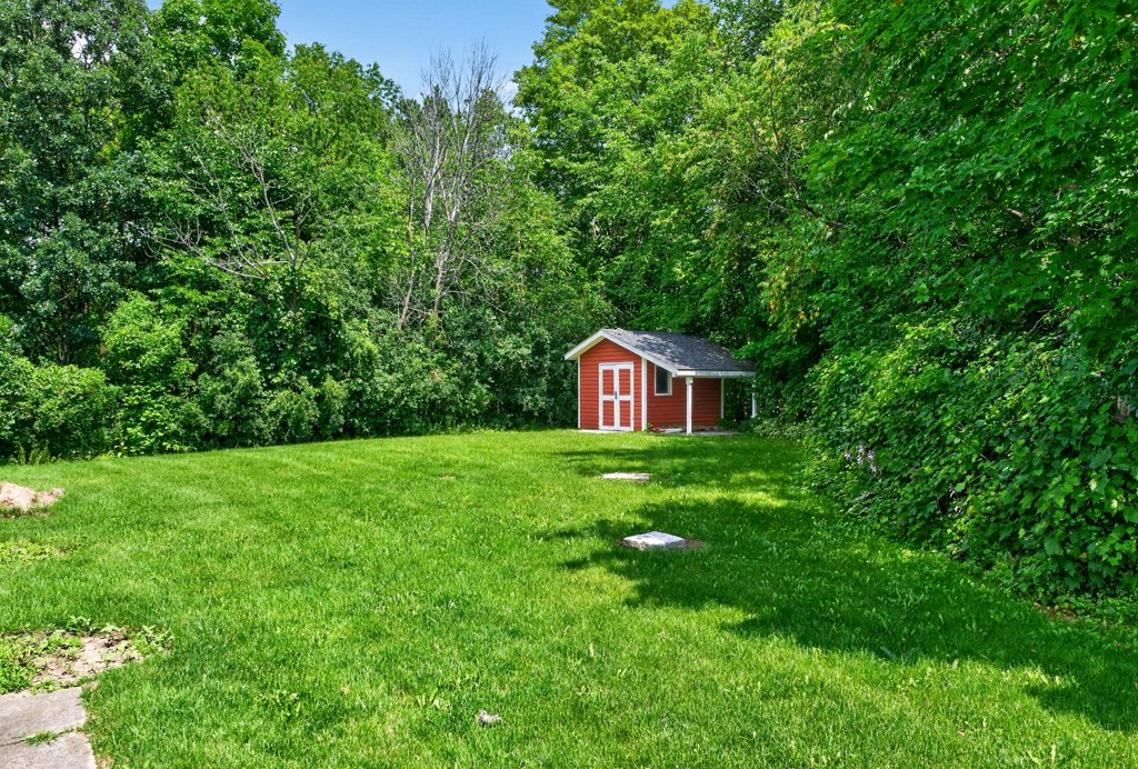 4708WolfSwamp (16)