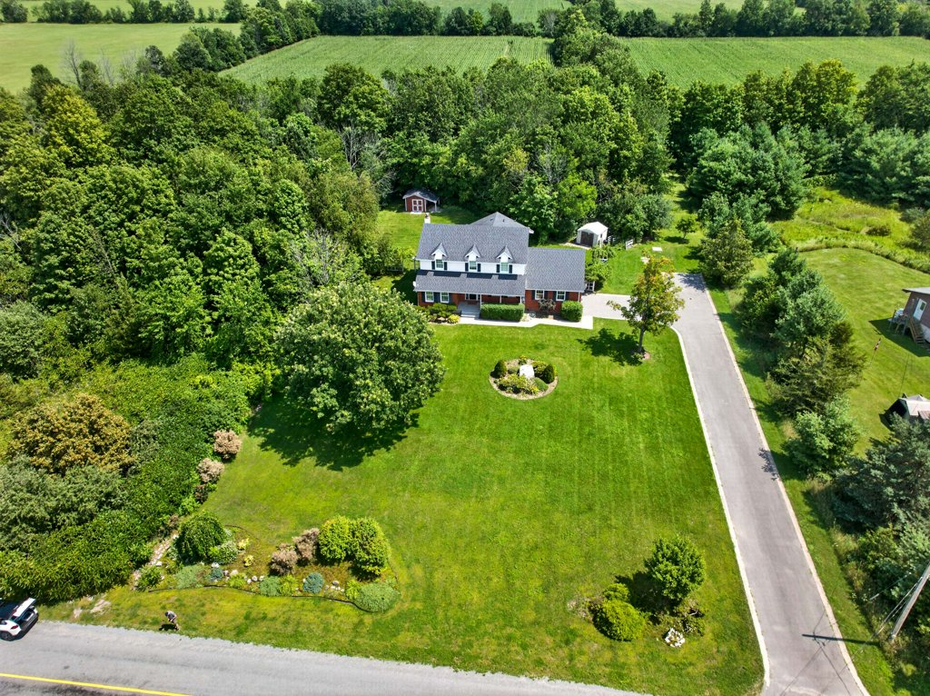 4708WolfSwamp (3)