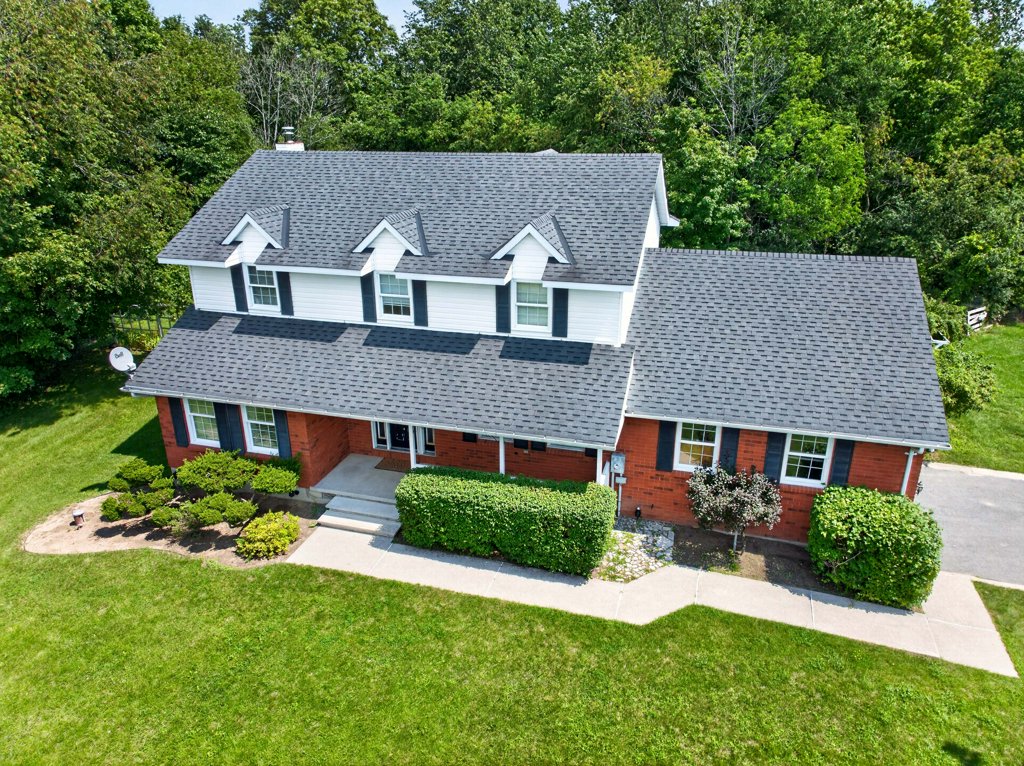 4708WolfSwamp (9)