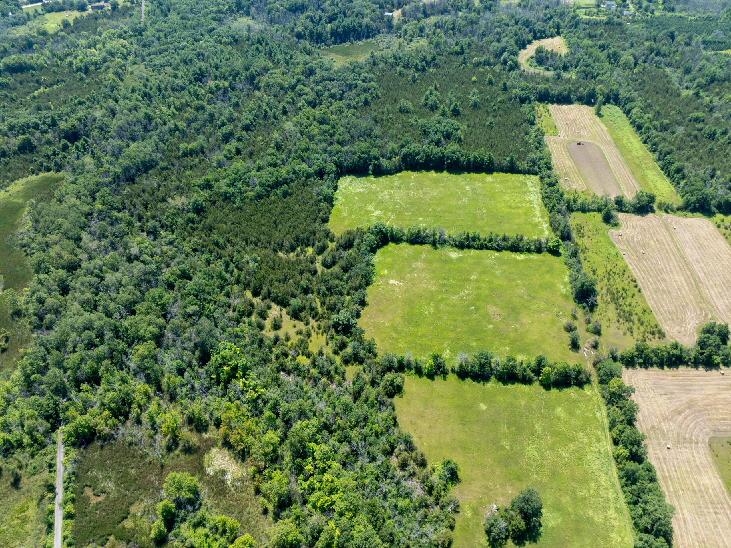 DJI_0365