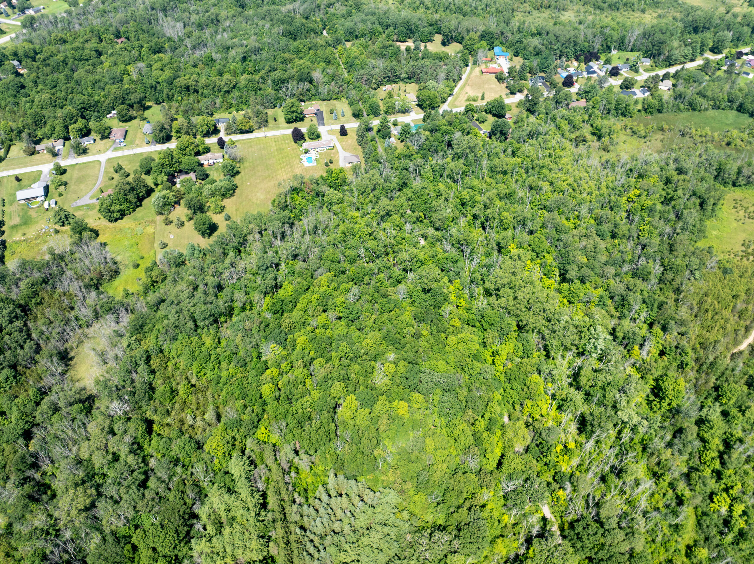 DJI_0366