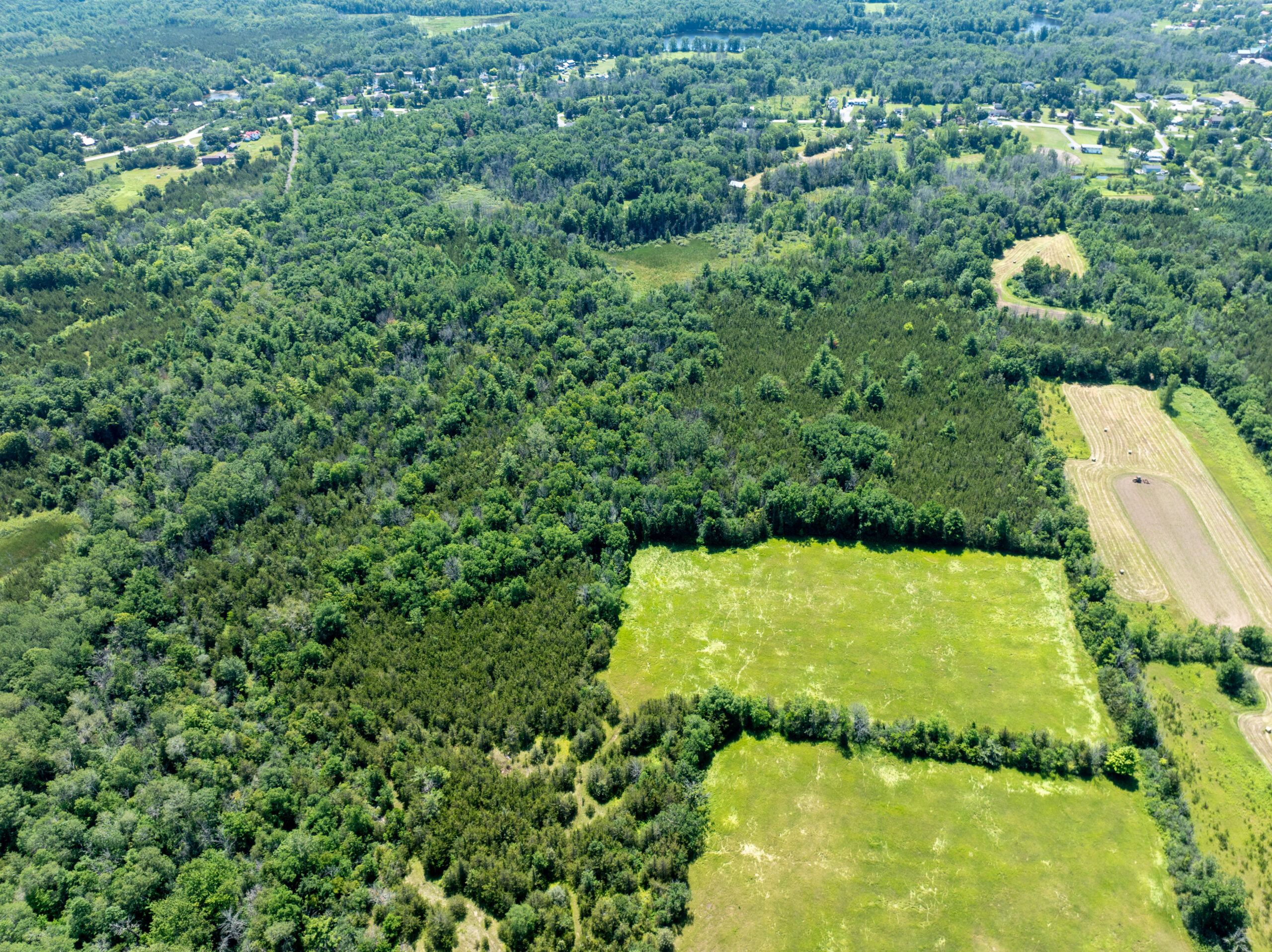 DJI_0367