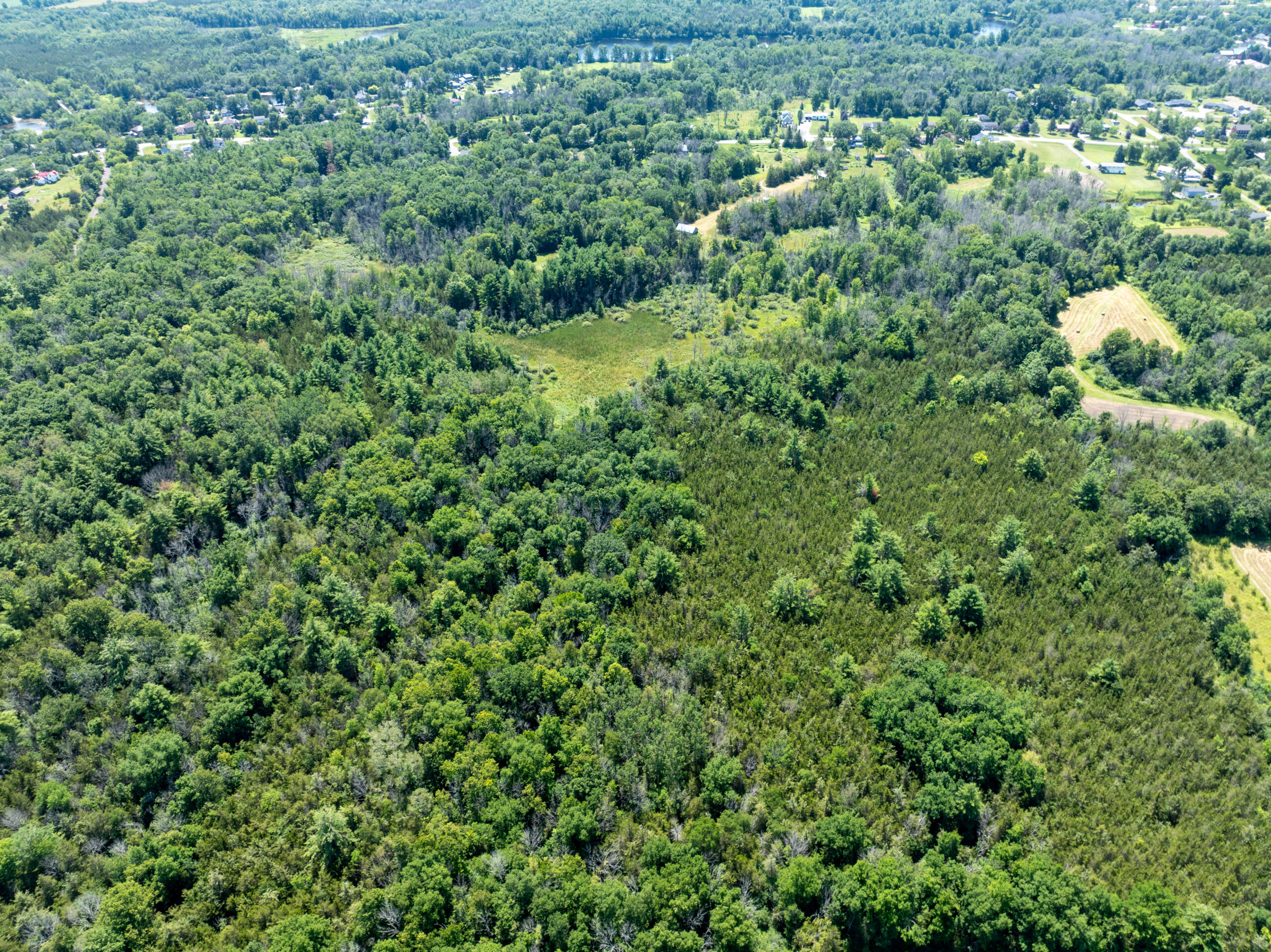 DJI_0369