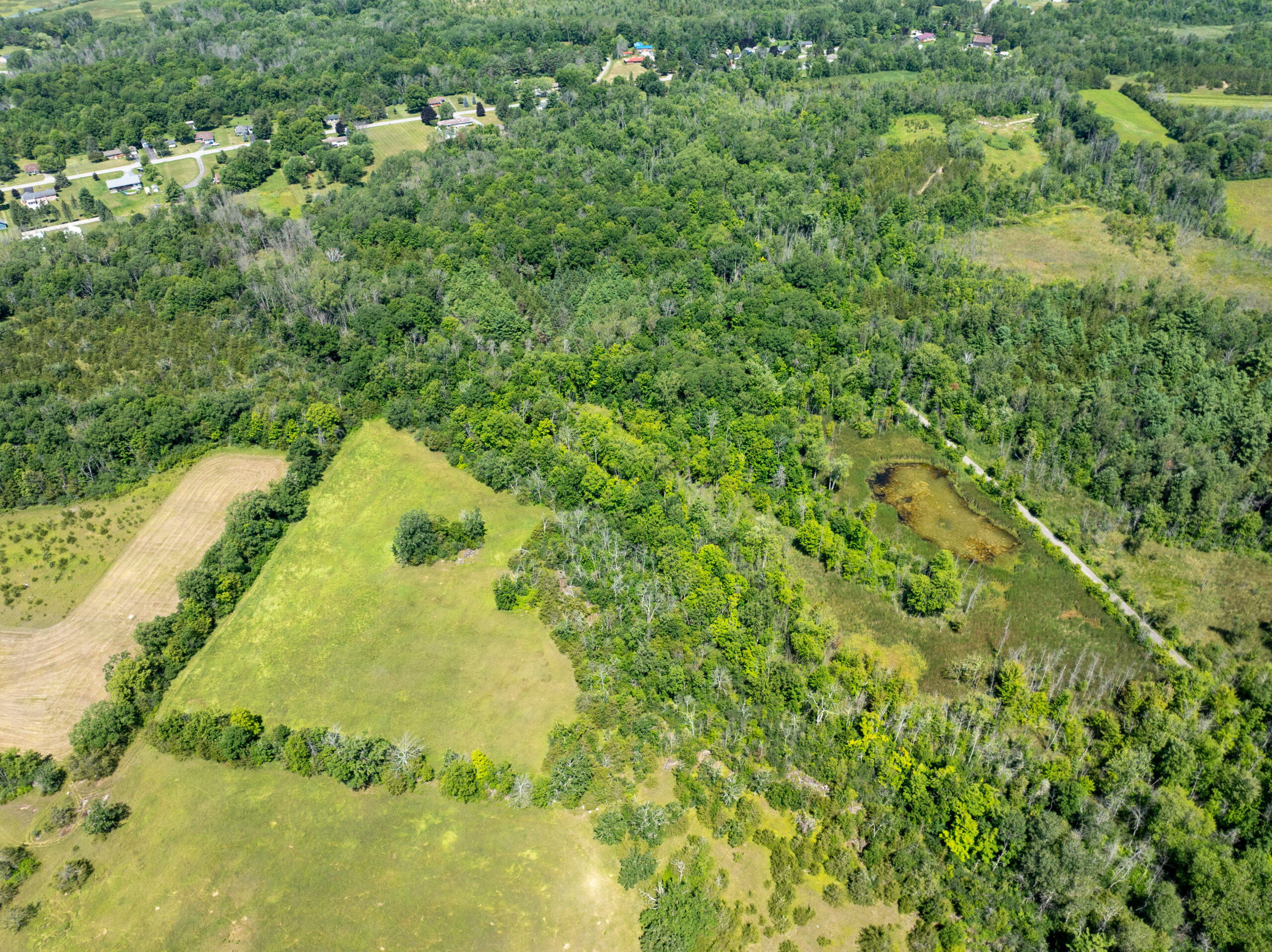 DJI_0370