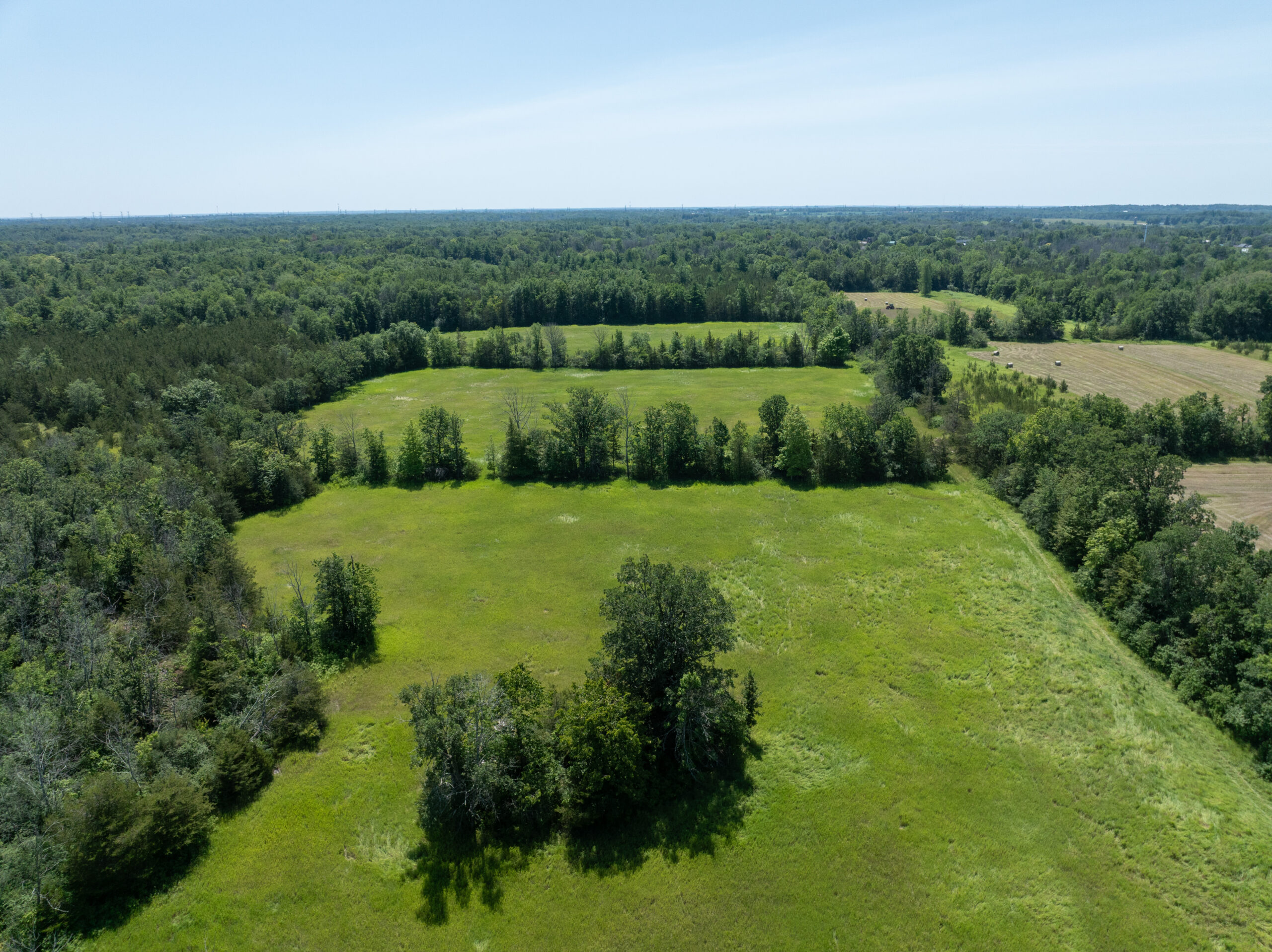 DJI_0385