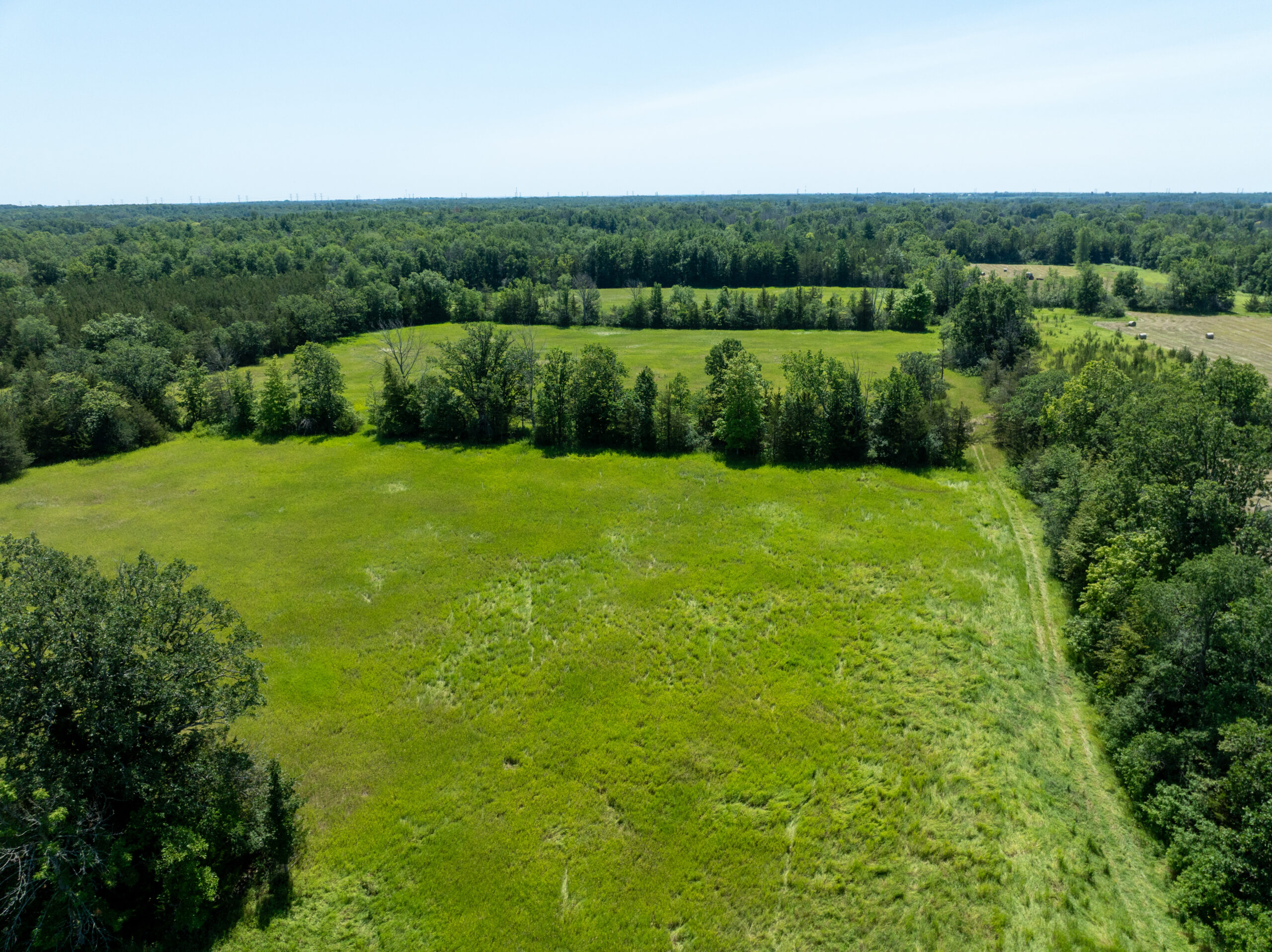 DJI_0386