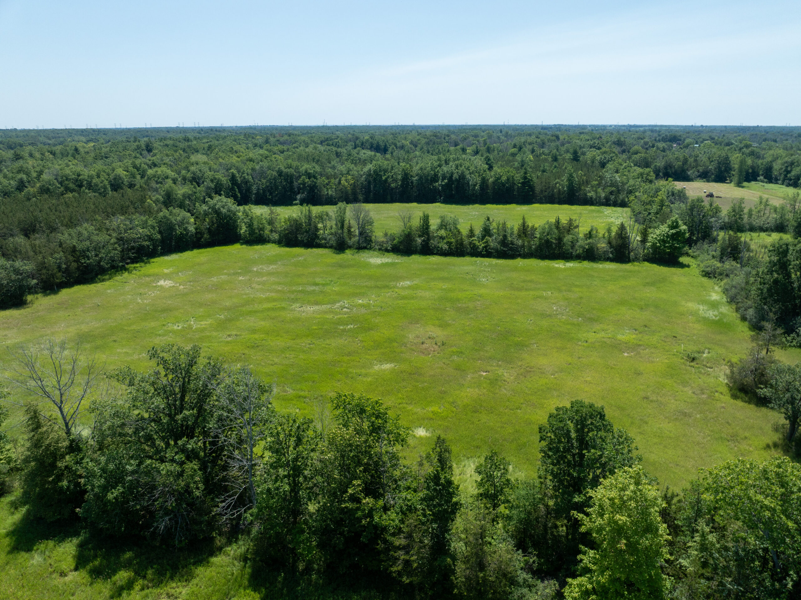 DJI_0387