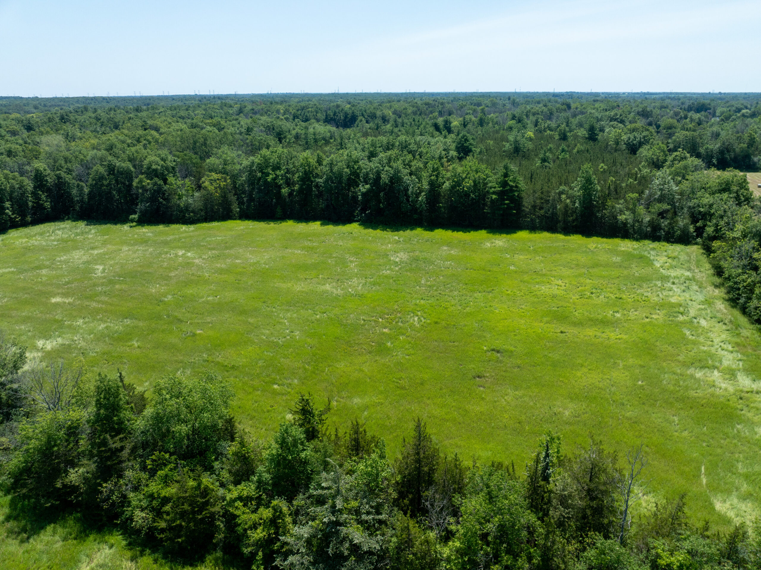 DJI_0388