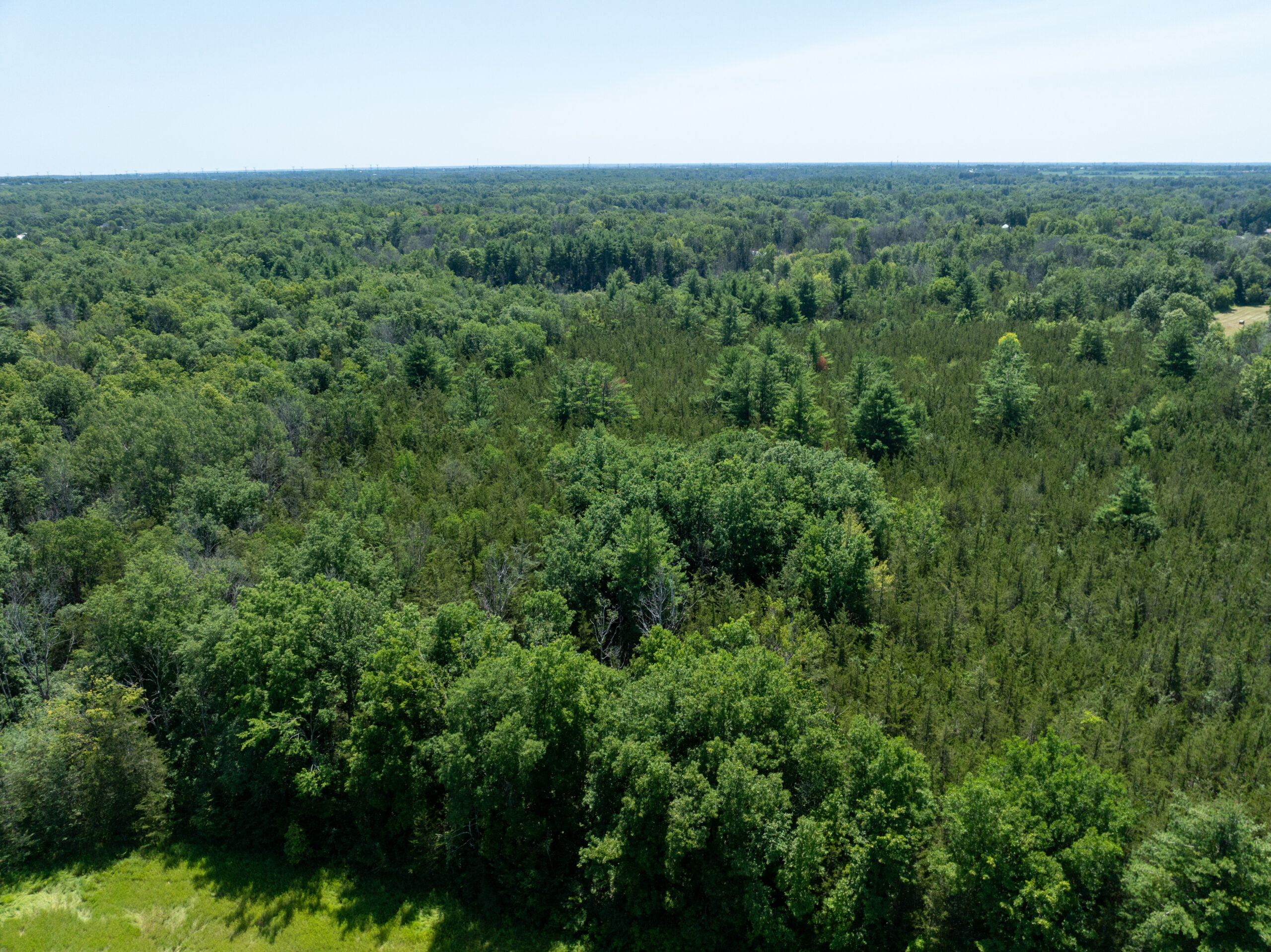 DJI_0390