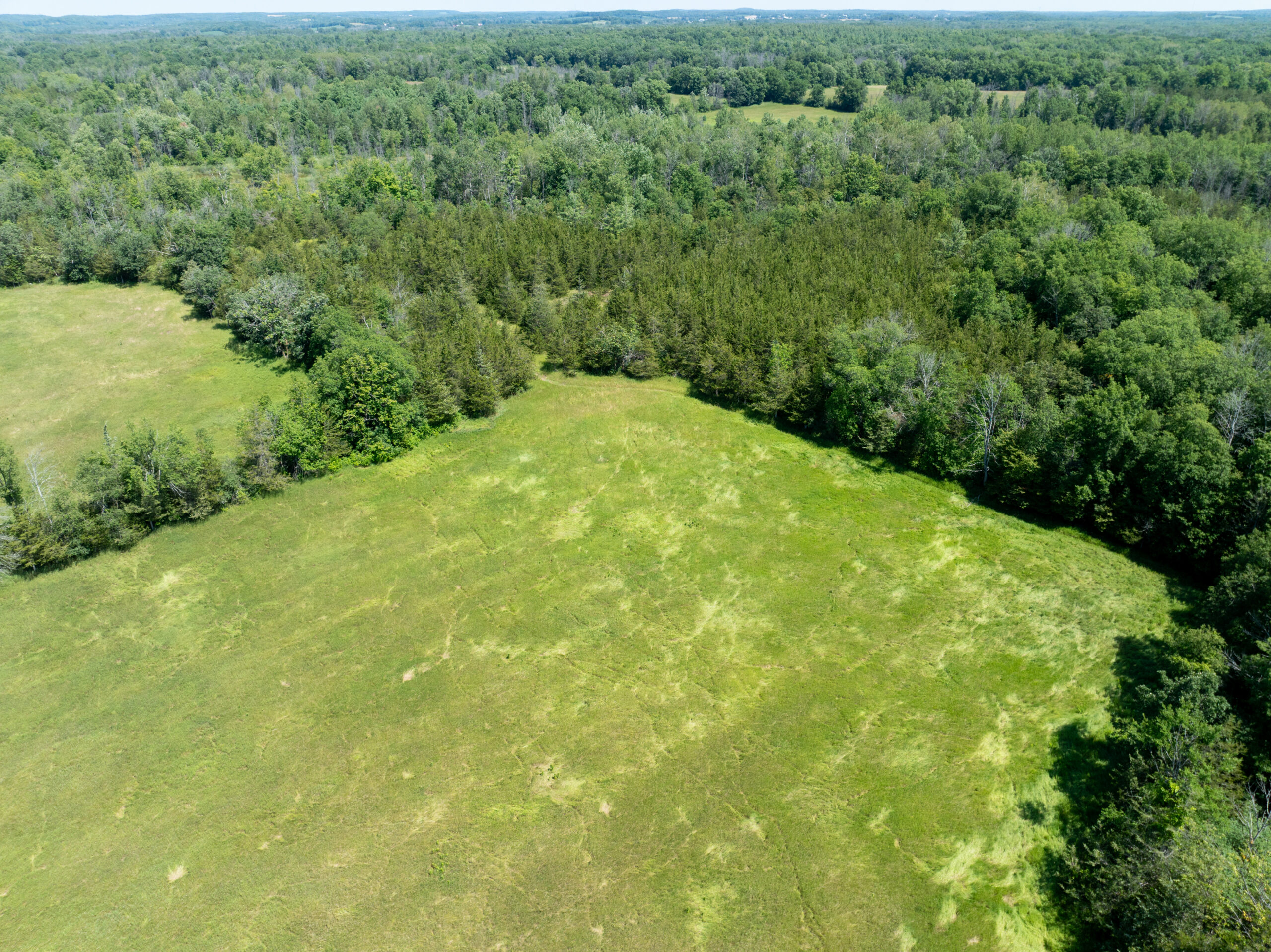 DJI_0392