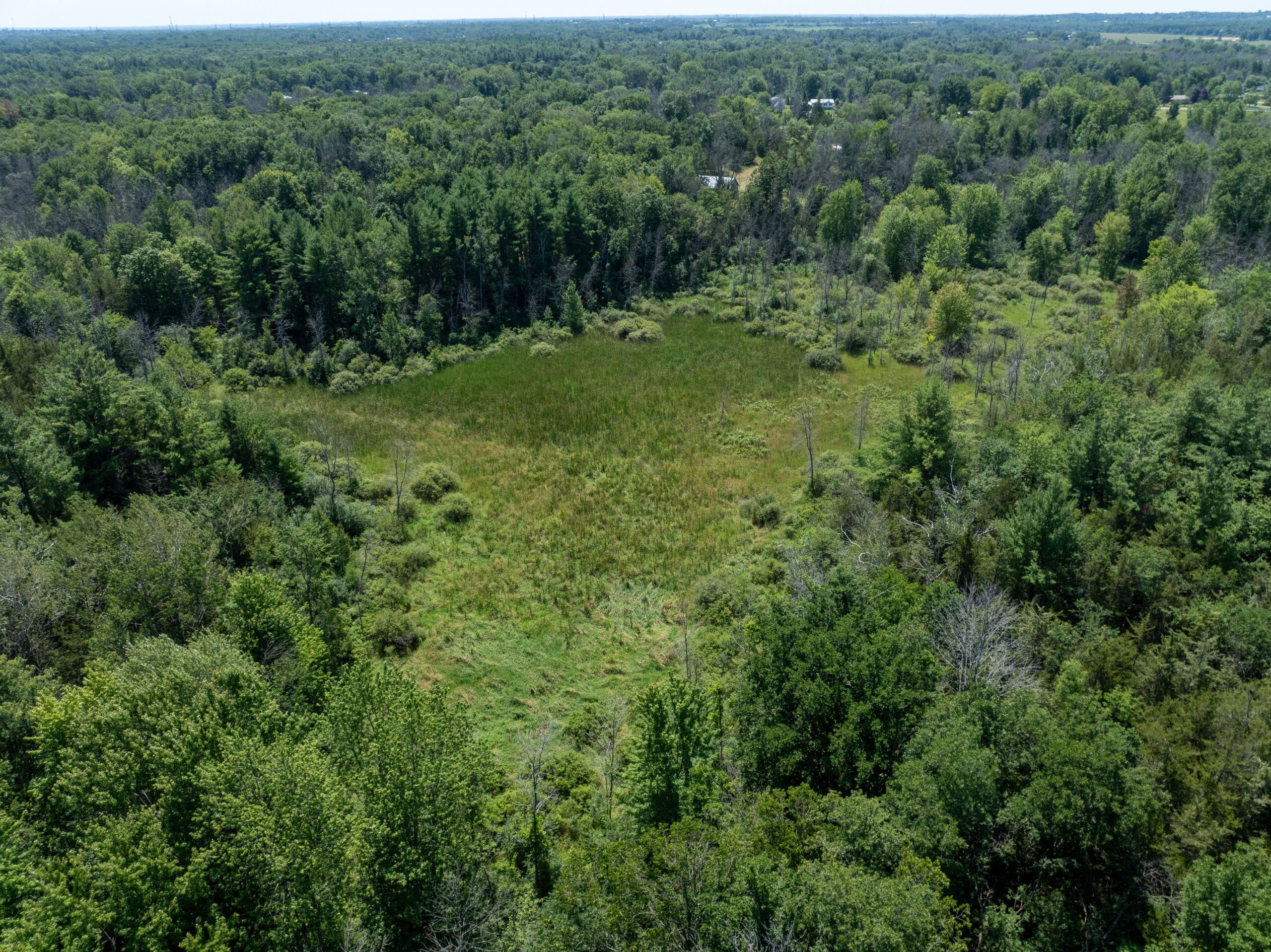 DJI_0393