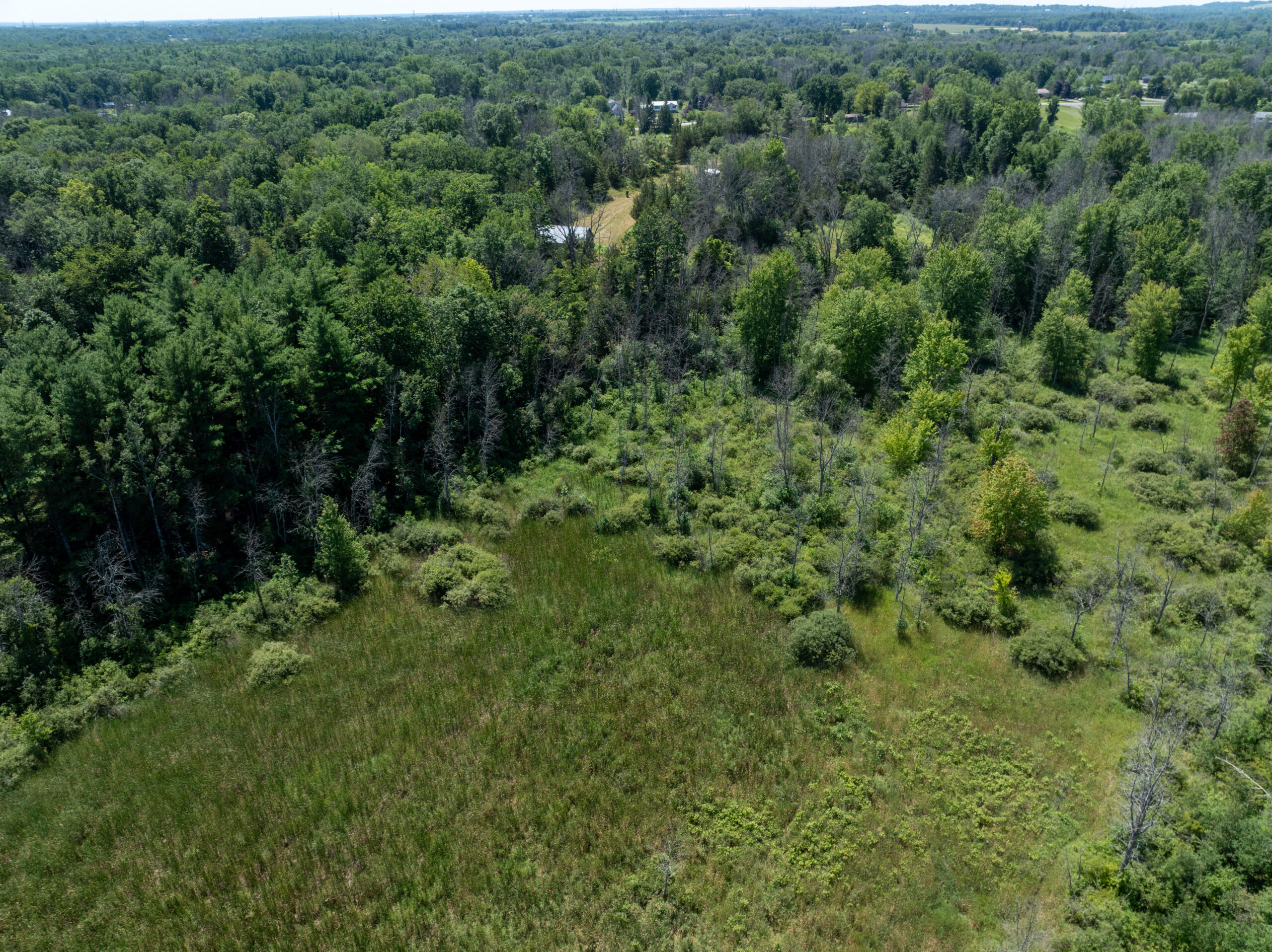 DJI_0394