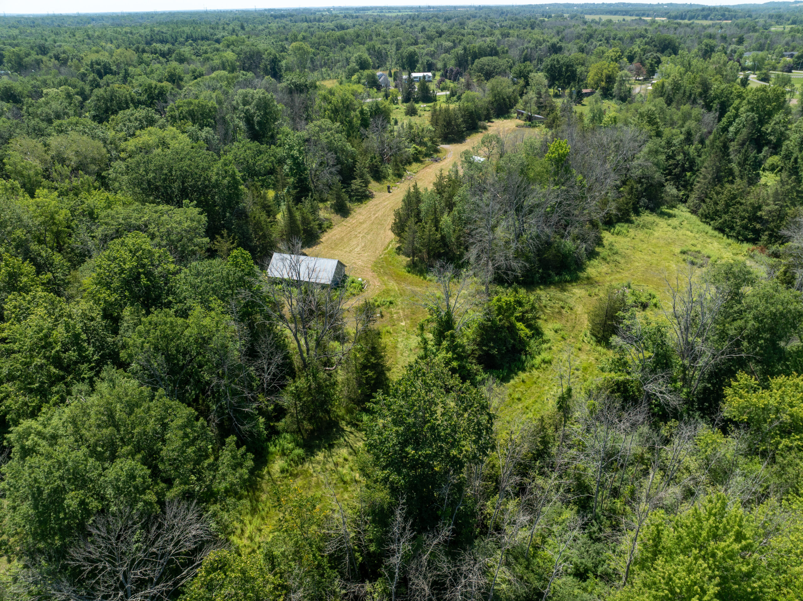 DJI_0395