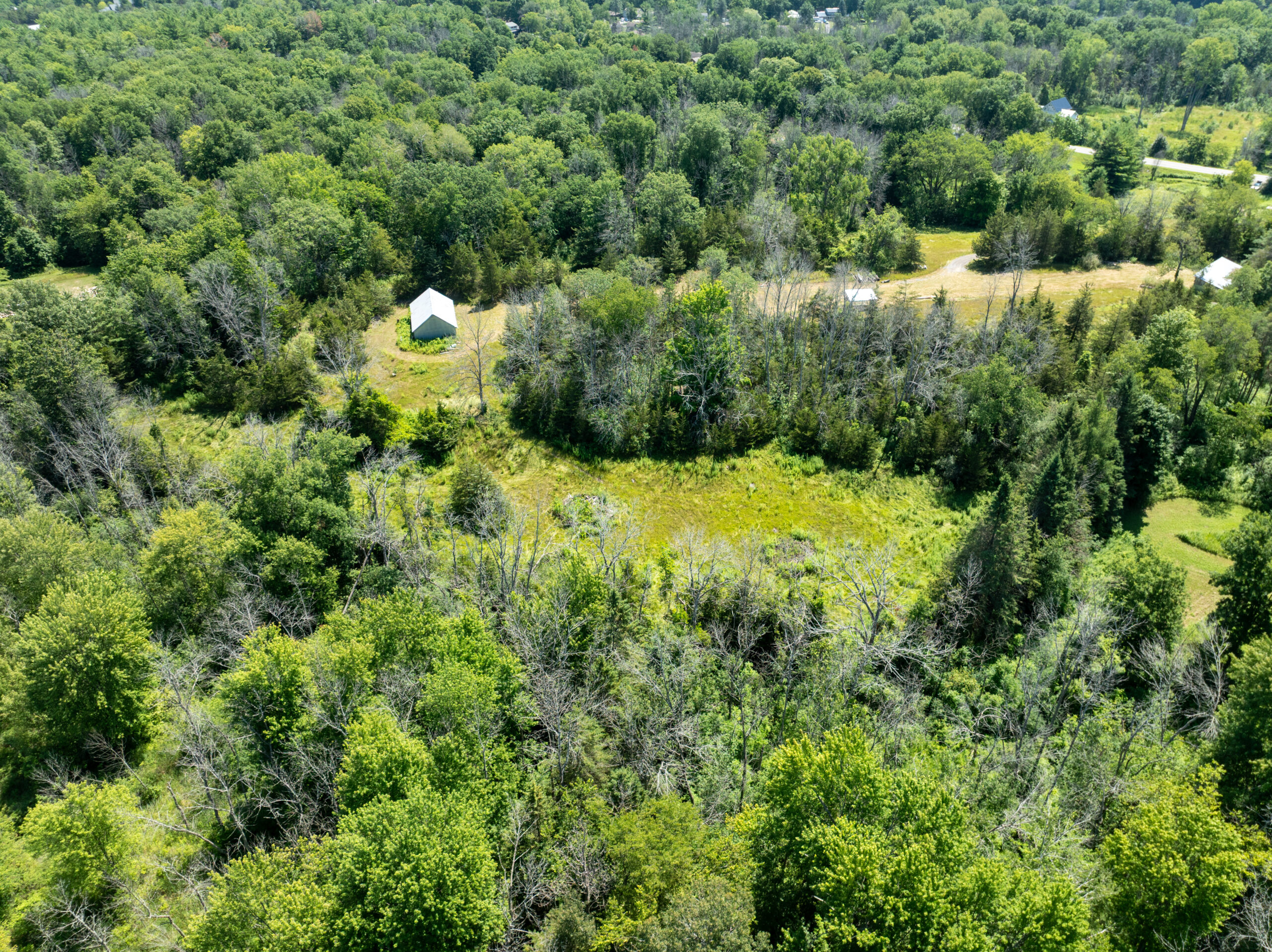 DJI_0398
