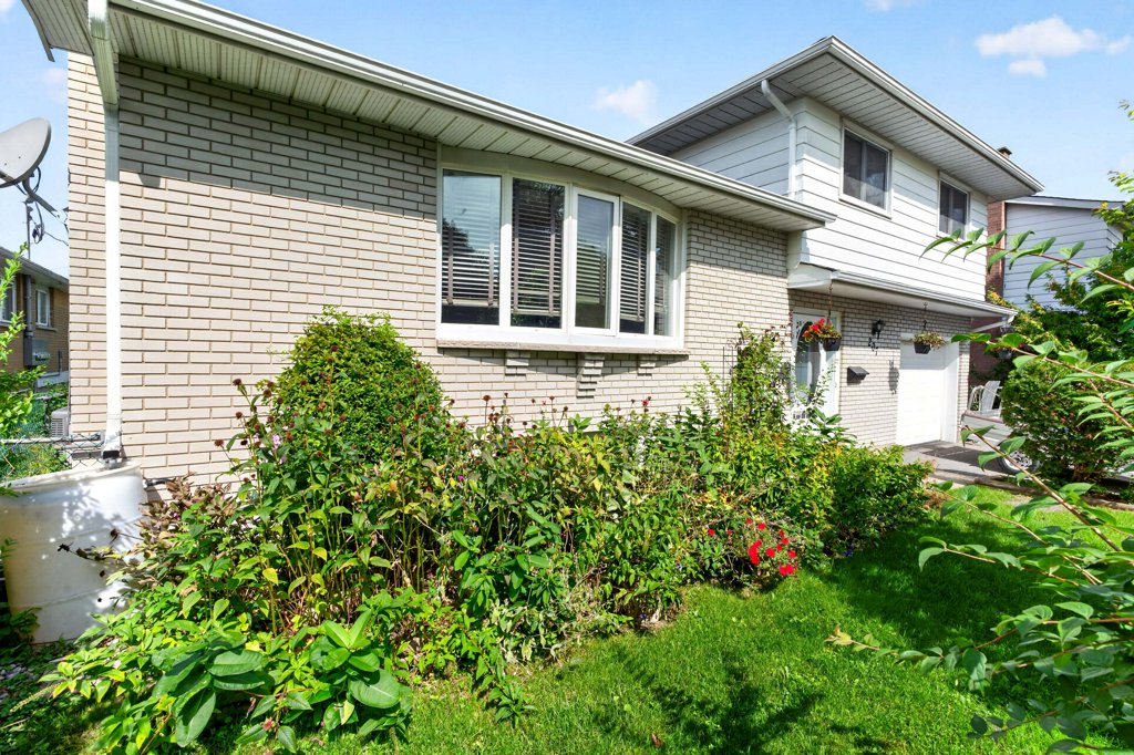 207RobertWallace (12)